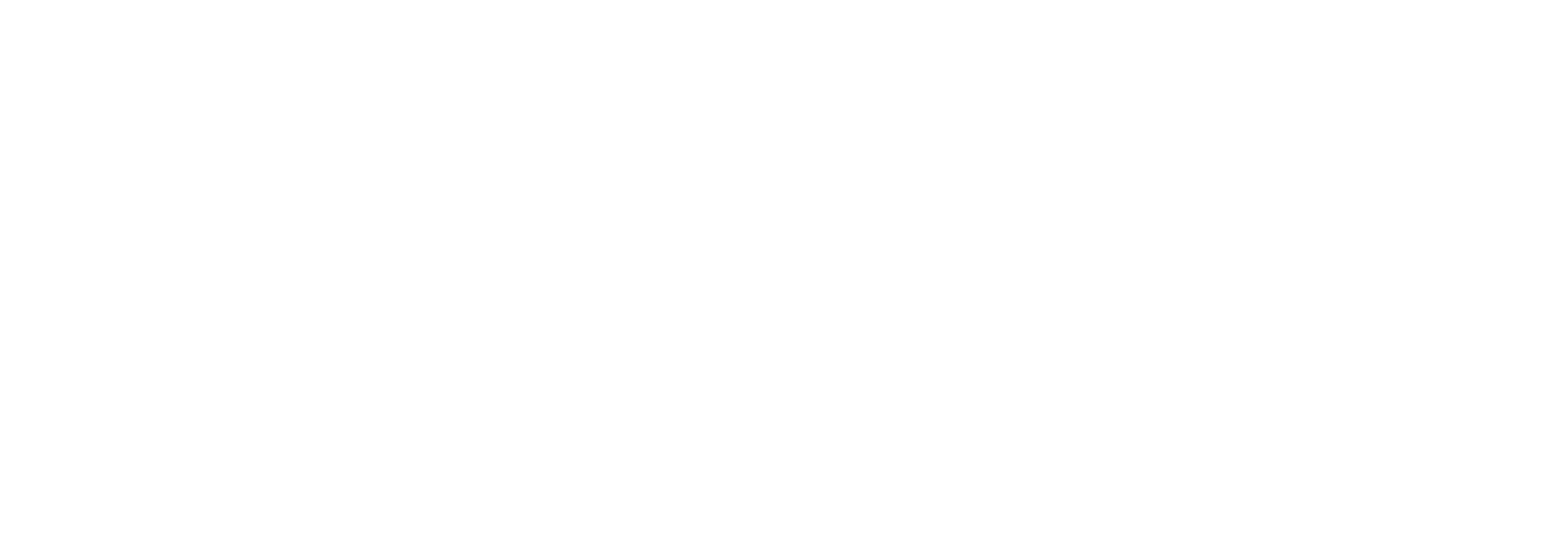 Sekundarni logo — bijela
