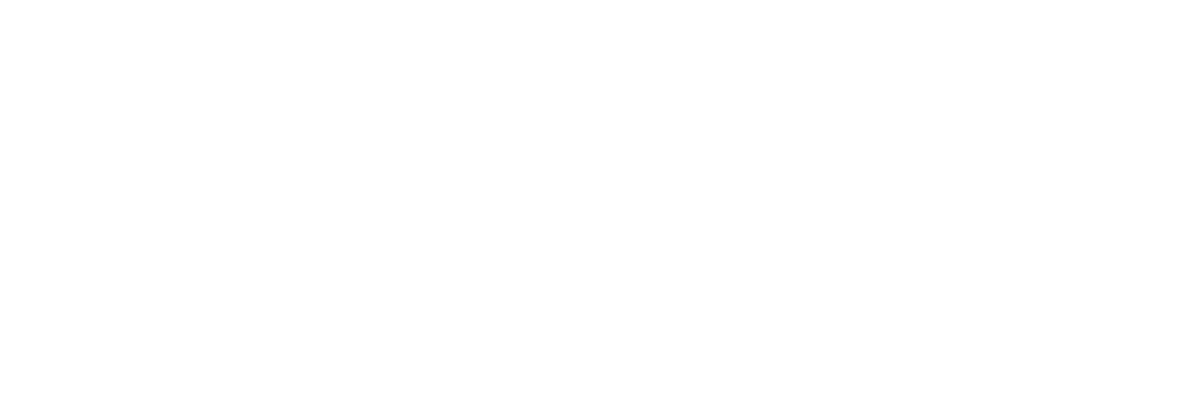 Wordmark — bijela